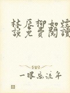 林辰柳如烟的小说免费阅读全文