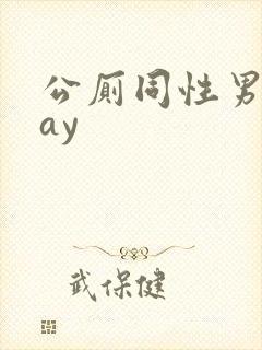 公厕同性男男gay