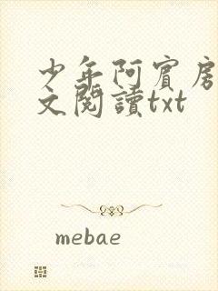 少年阿宾房东全文阅读txt