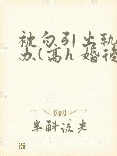 被勾引出轨怎么办(高h 婚后np)(