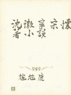 沈徽宁宋怀砚原著小说