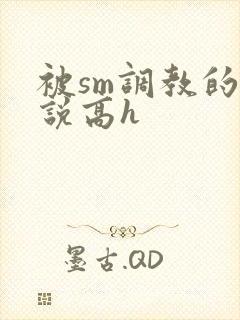 被sm调教的小说高h