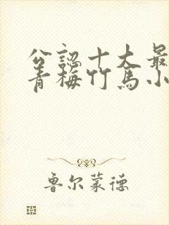 公认十大最好看青梅竹马小说封面