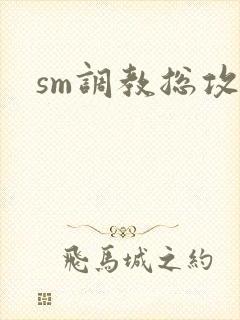 sm调教总攻文