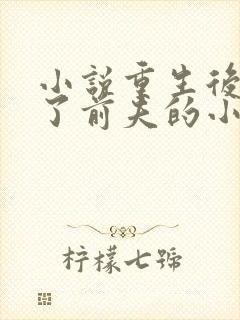 小说重生后我成了前夫的小舅娘txt封面