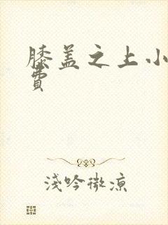 膝盖之上小说免费