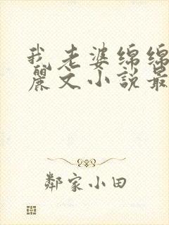 我老婆绵绵和魏丽文小说最新章节更封面