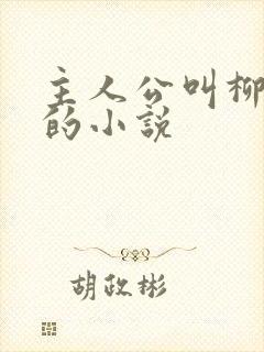 主人公叫柳无邪的小说