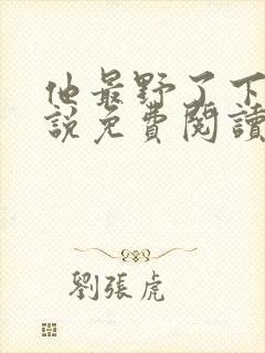 他最野了下册小说免费阅读