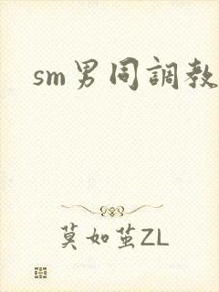 sm男同调教文封面