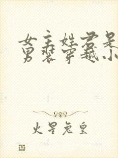 女主姓君是女扮男装穿越小说封面