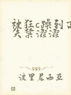 被狂c躁到高潮失禁涩涩封面