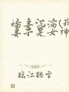 娇妻沉沦(我的妻子是女神