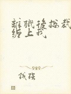 离职后总裁上司缠上我