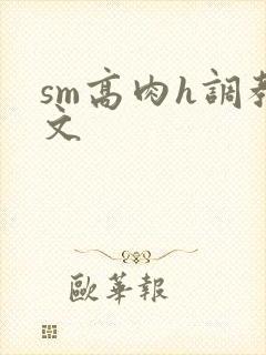 sm高肉h调教文封面