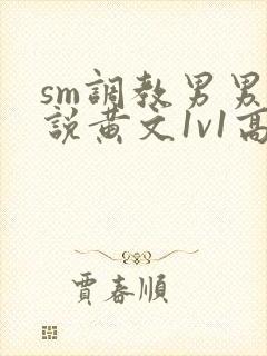 sm调教男男小说黄文1v1高h强制