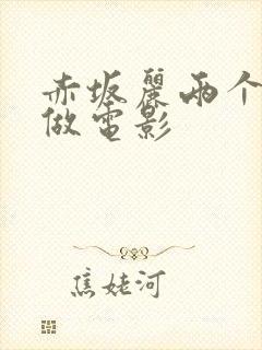 赤坂丽两个黑人做电影