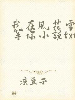 我在风花雪月中等你小说txt
