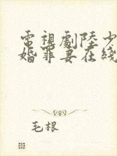 电视剧陆少的隐婚罪妻在线观看封面