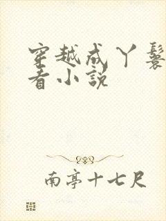 穿越成丫鬟的好看小说