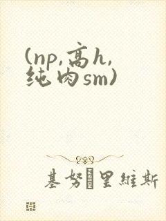 (np,高h,纯肉sm)