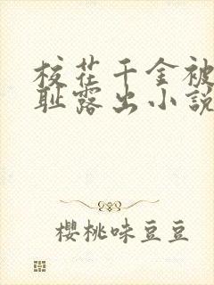 校花千金被迫羞耻露出小说