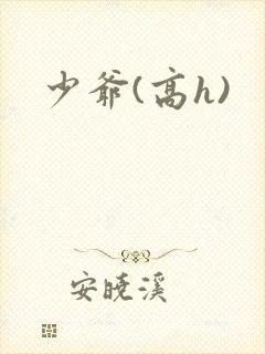 少爷(高h)