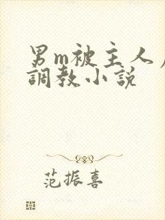 男m被主人虐玩调教小说封面