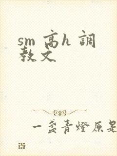 sm 高h 调教文