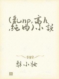 (乱np,高h,纯肉)小说