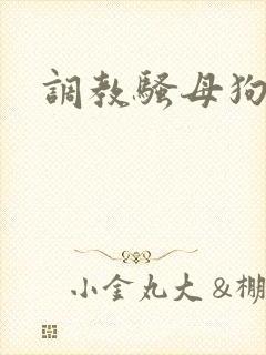 调教骚母狗主人封面