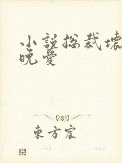 小说总裁坏坏晚晚爱