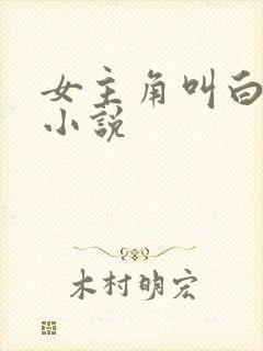女主角叫白诺的小说