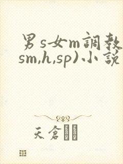 男s女m调教(sm,h,sp)小说封面