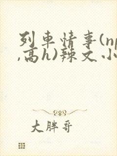 列车情事(np,高h)辣文小