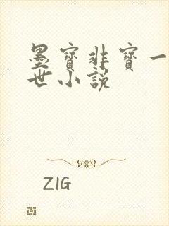 墨宝非宝一生一世小说