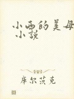 小西的美母教师 小说