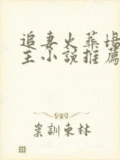 追妻火葬场双男主小说推荐