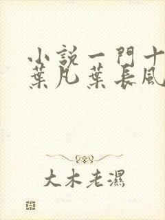 小说一门十忠烈叶凡叶长风全集