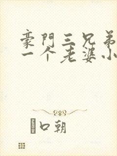 豪门三兄弟共用一个老婆小说嫁入豪