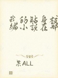 我的贴身校花改编小说在哪里可以阅读