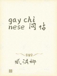 gay chinese 网站