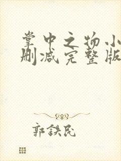 掌中之物小说无删减完整版