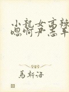 小龙女高辣h文嗯啊尹志平