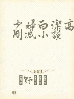 少妇白洁高义无删减小说
