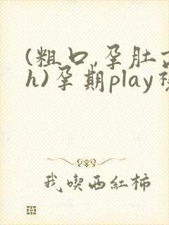 (粗口,孕肚高h)孕期play视频