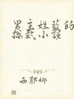 男主姓蓝的霸道总裁小说封面