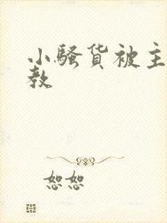 小骚货被主人调教