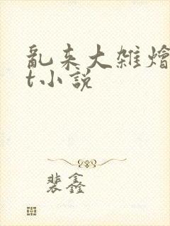 乱来大杂烩txt小说