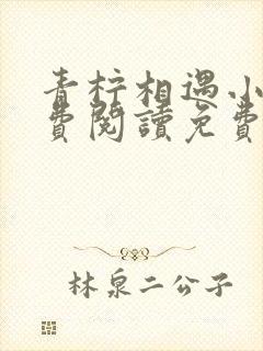 青柠相遇小说免费阅读免费下